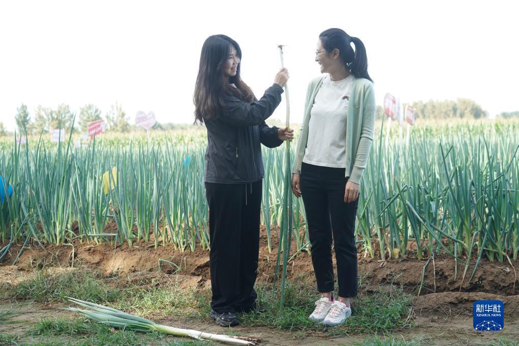 df888经典版登录